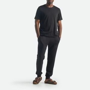 Icebreaker Black Men's Jogger Pants